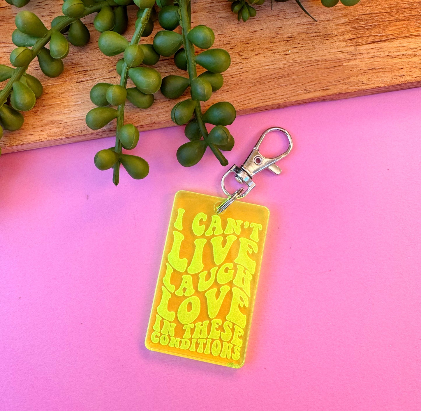 I Can't Live Laugh Love In These Conditions Keychain